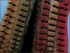 Pheasant Tail Feathers
